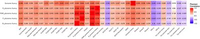 Cognitive Processes Underlying Verbal Fluency in Multiple Sclerosis